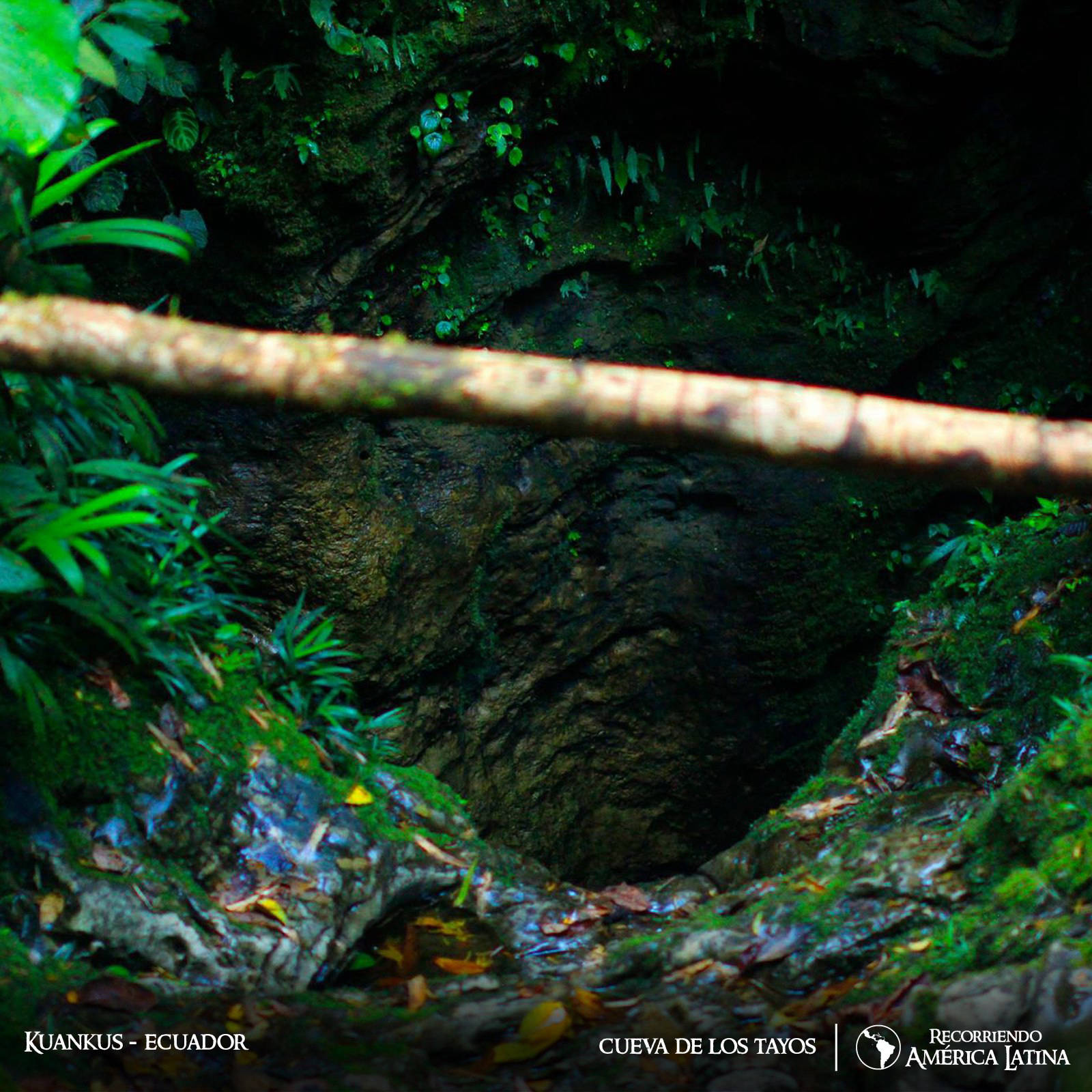 Cueva de los Tayos - Petronio Dueñas